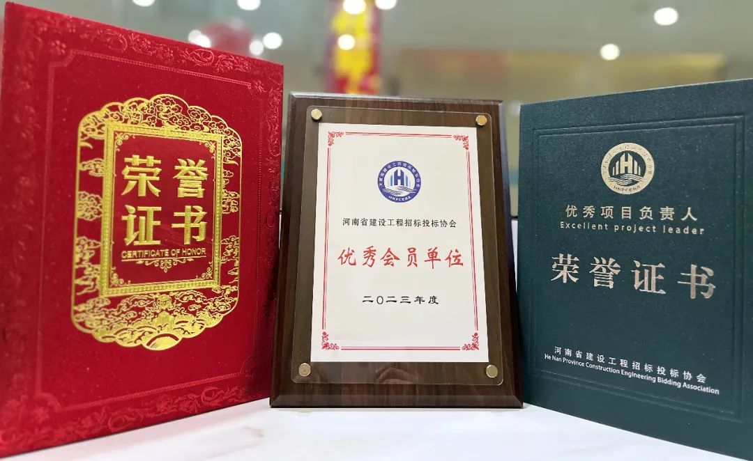 喜報丨飛洋咨詢榮獲“2023年度優秀會員單位”、“2023年度優秀項目負責人”等榮譽稱號