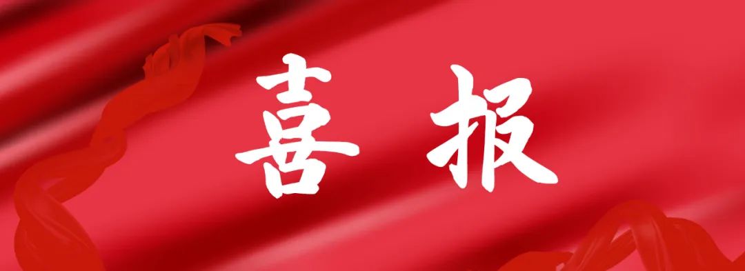喜報丨飛洋咨詢榮獲河南省招標投標協會“2023年度誠信自律建設先進單位 、先進個人”稱號 